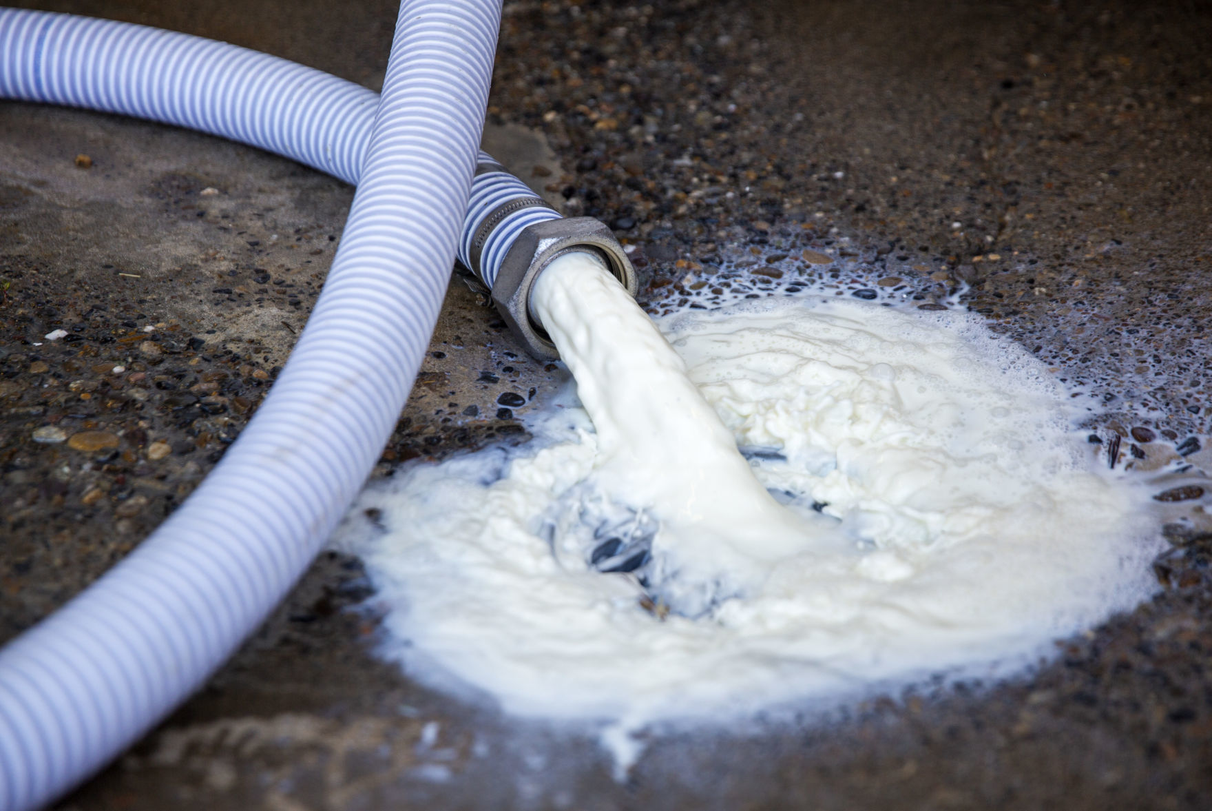 Dumping milk